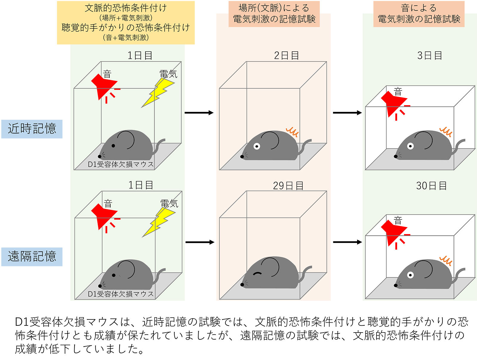 220315.seika_pic.jpg