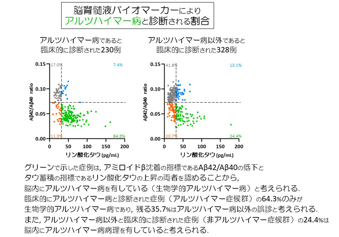 研究成果発表_遺伝子機能解析学分野_図_2_230330.jpg