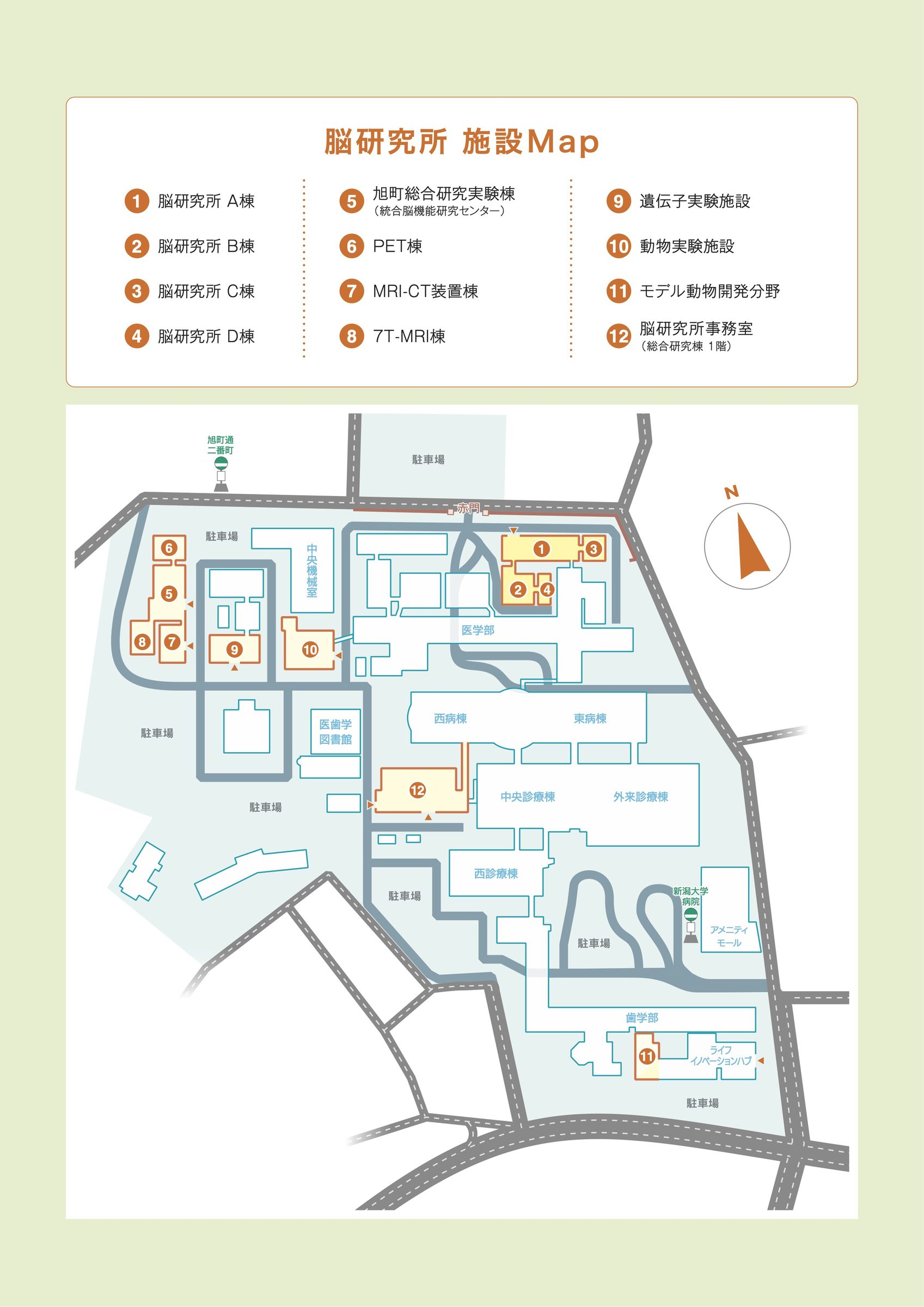 脳研究所の案内図（日本語）