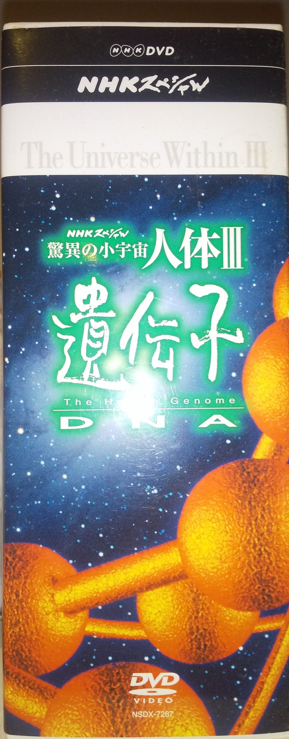 推薦図書（DVDですが）