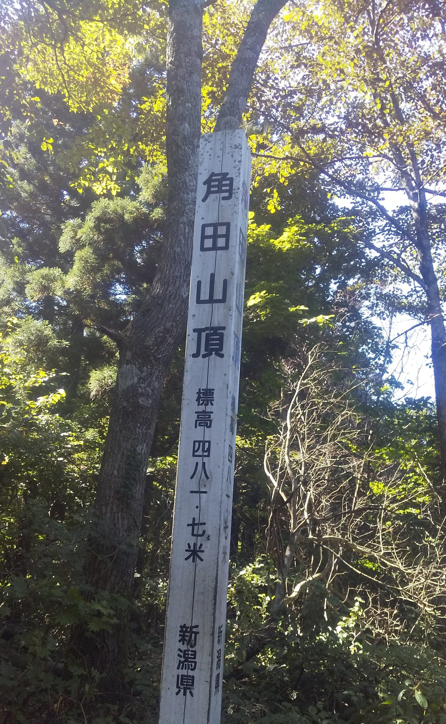 角田山